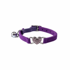Collares para gatos