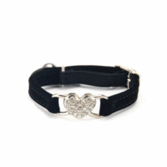Collares para gatos