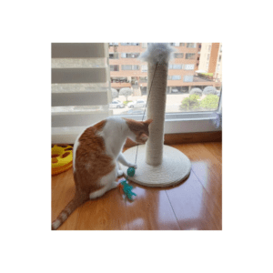 17 Rascador para gatos
