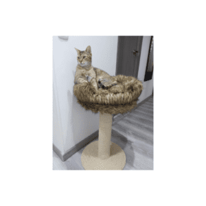 97 Rascador para gatos