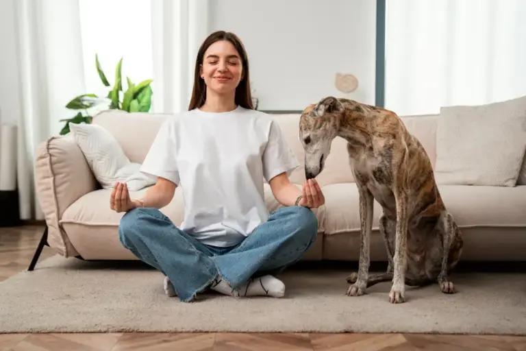 meditar con tu perro