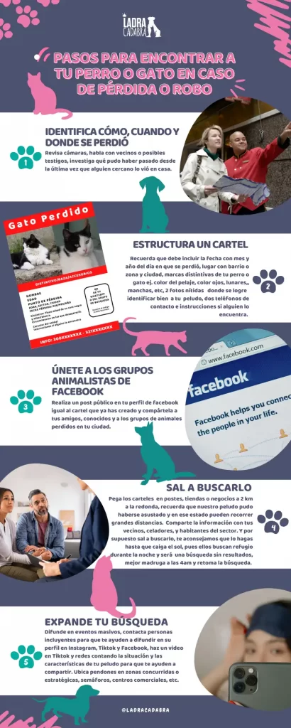 guía de mascotas perdidas