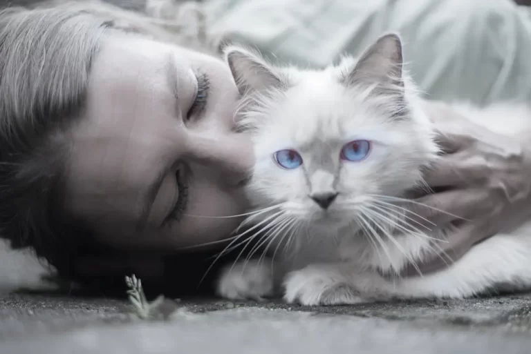 5 señales para saber si mi gato me quiere
