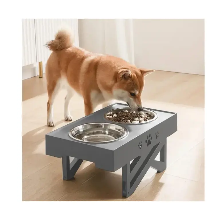 Beneficios de un comedero ajustable y elevado para perros