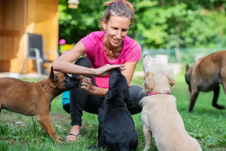 Entrenamiento de Perros y Gatos: El Poder del Refuerzo Positivo