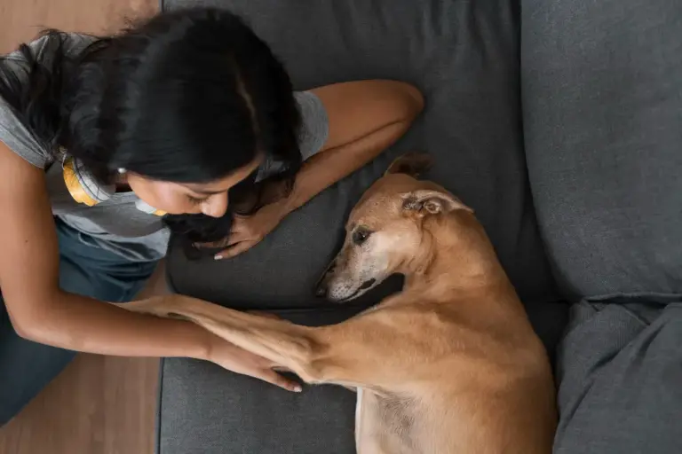 Duelo por una mascota: ceremonias para recordarla siempre