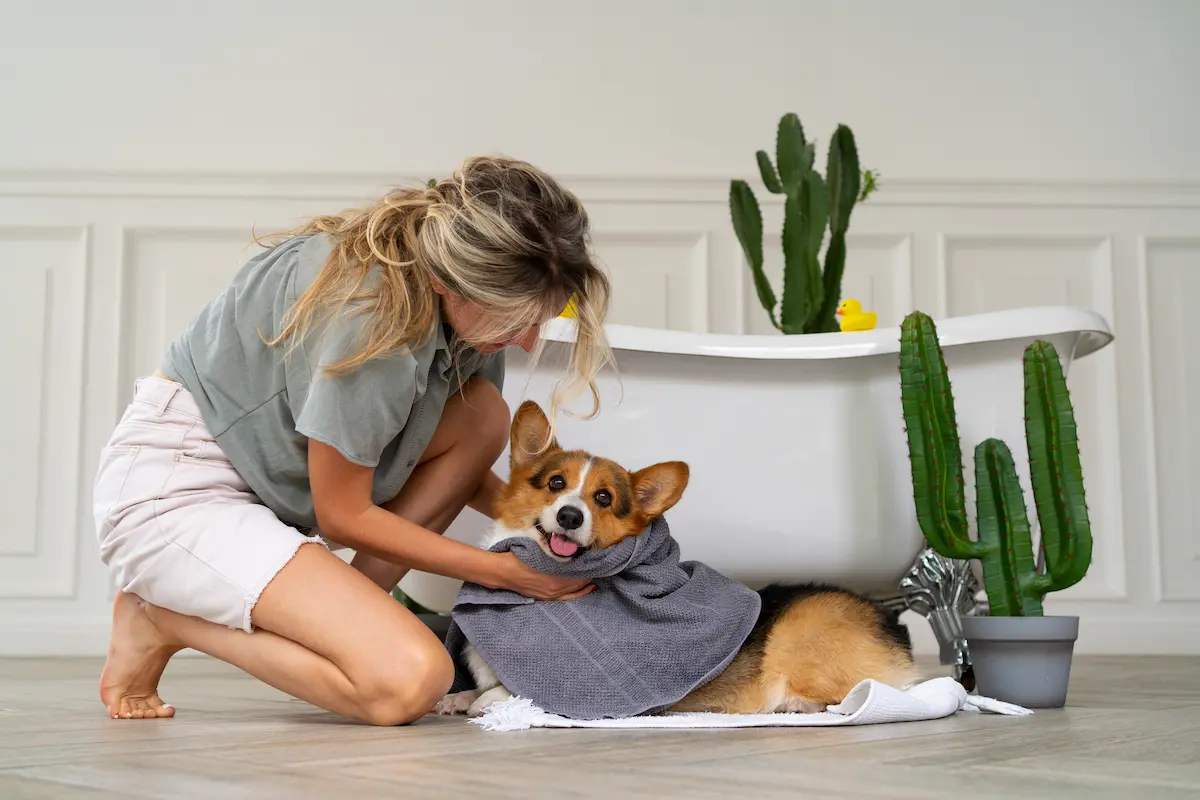 Mujer acariciando perro