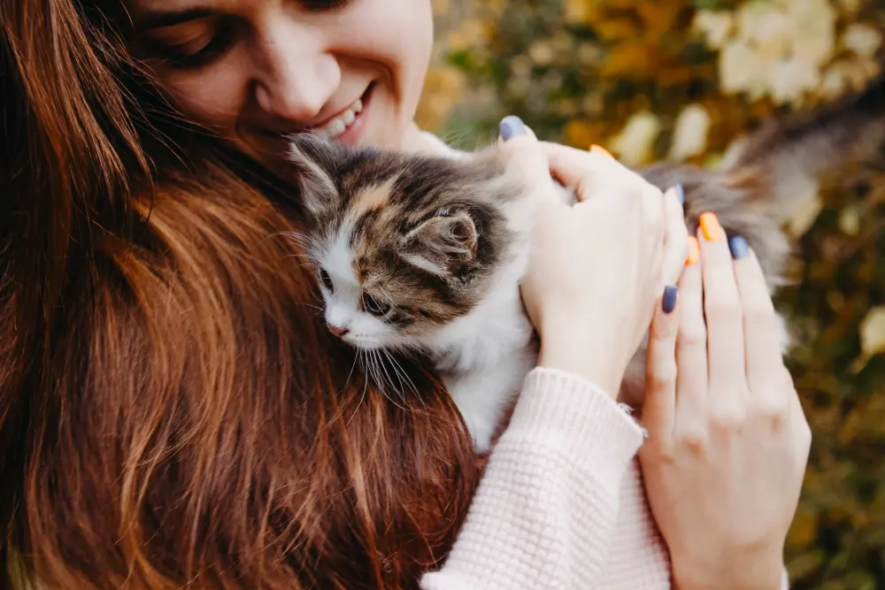Adoptar un gato