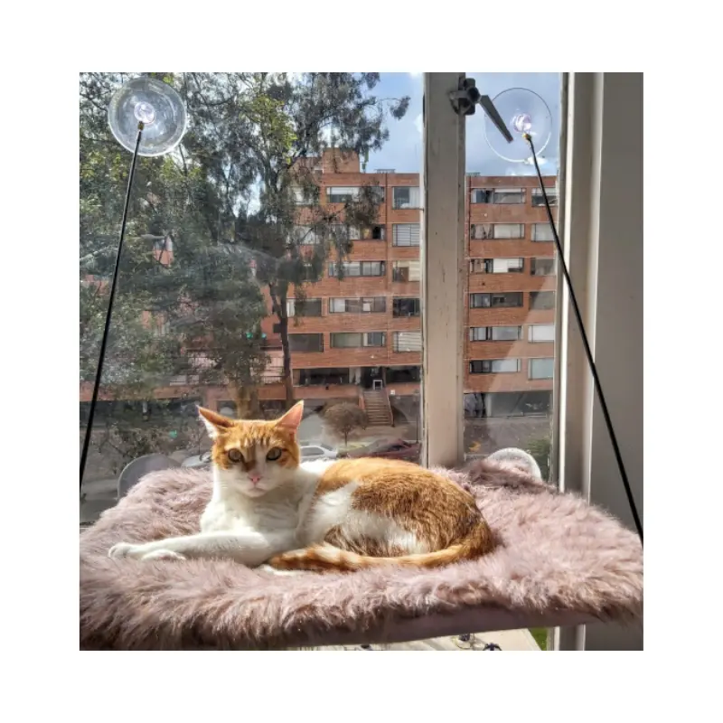 hamaca para gatos
