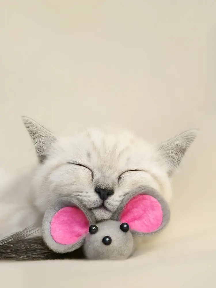 Juguetes para gatos - ratón