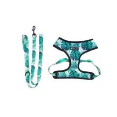 kit para perros