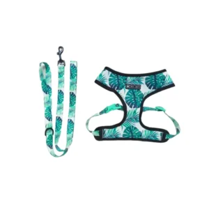 kit para perros