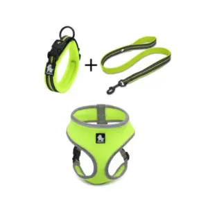 kit para mascotas