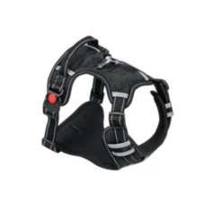 kit para perros