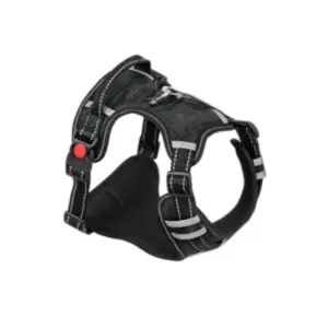 67 (1) kit para perros