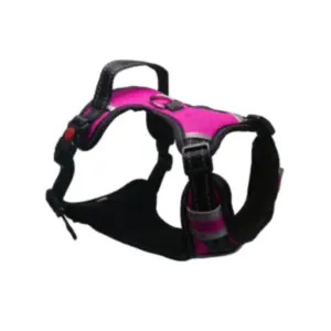 kit para perros