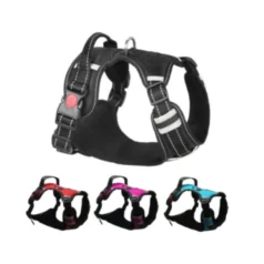 kit para perros