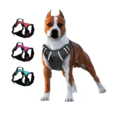 kit para perros