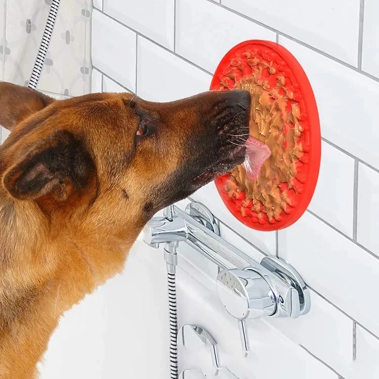 Recetas para utilizar la alfombrilla Lick Mat con nuestros perros