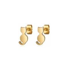 Aretes y cadena