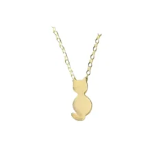 Aretes y cadena