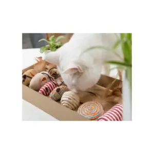 Caja de Juguetes para Gato Caja de Juguetes para Gato