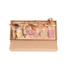 Caja de Juguetes para Gato