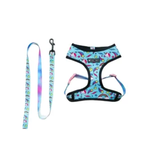 pechera y correa kit para perros