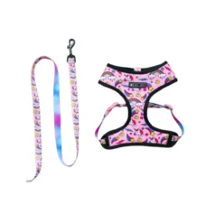 kit para perros