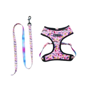 kit para perros