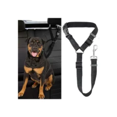 cinturón de seguridad para perro