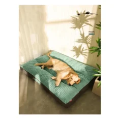 cama para perro