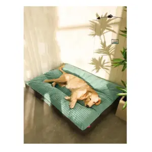 cama para perro