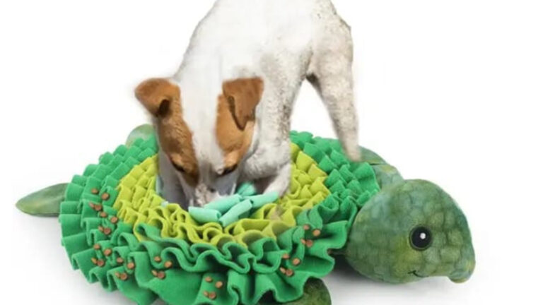 Juguete para mascotas