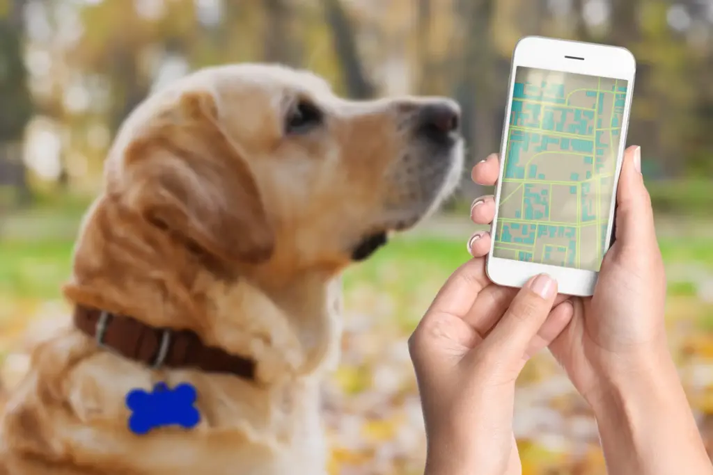 Apps para mascotas