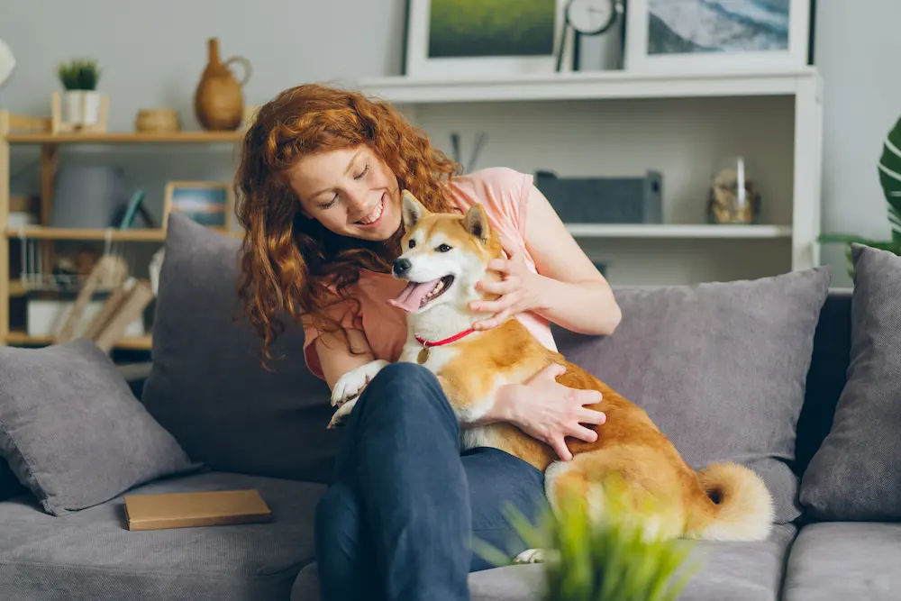 adoptar una mascota