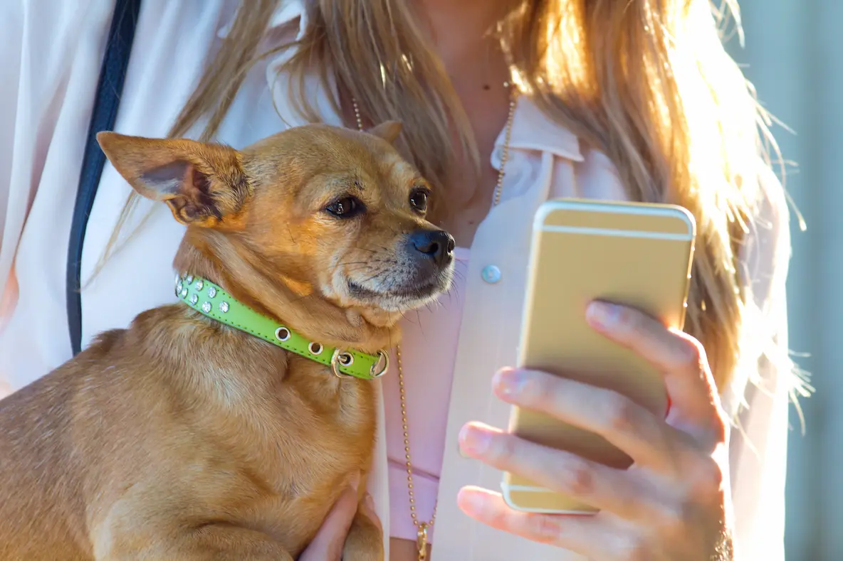 Apps para mascotas