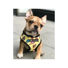 Pecheras para perros