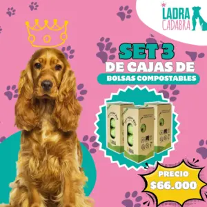 Bolsas