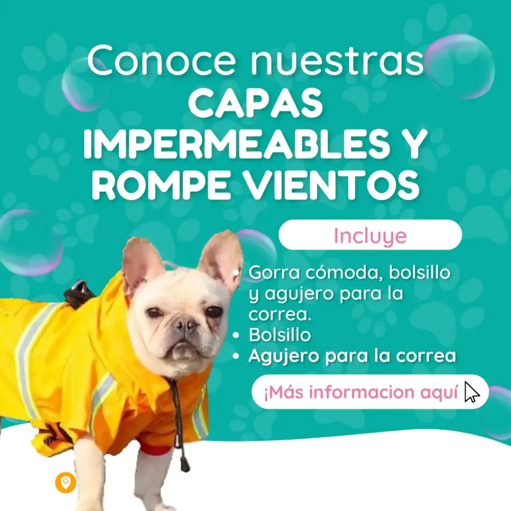 capas impermeables